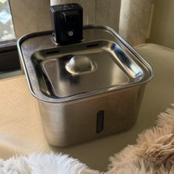 Downy Paws Stainless Steel Water Fountain