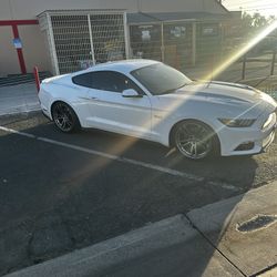 20 In Staggered Wheels For Mustang