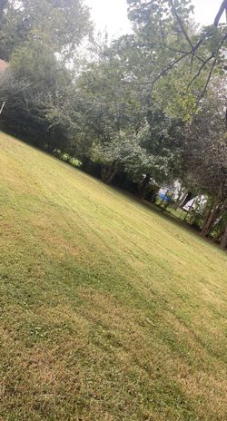 Need Someone To Cut Every 1 Or 2 Week??