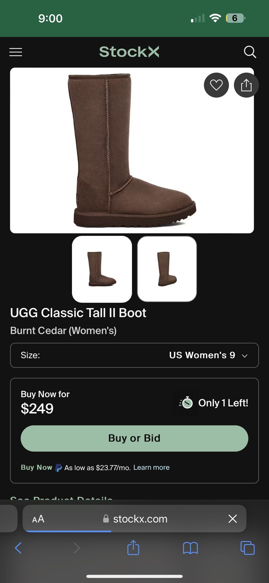 Brand New Tall Brown Uggs 