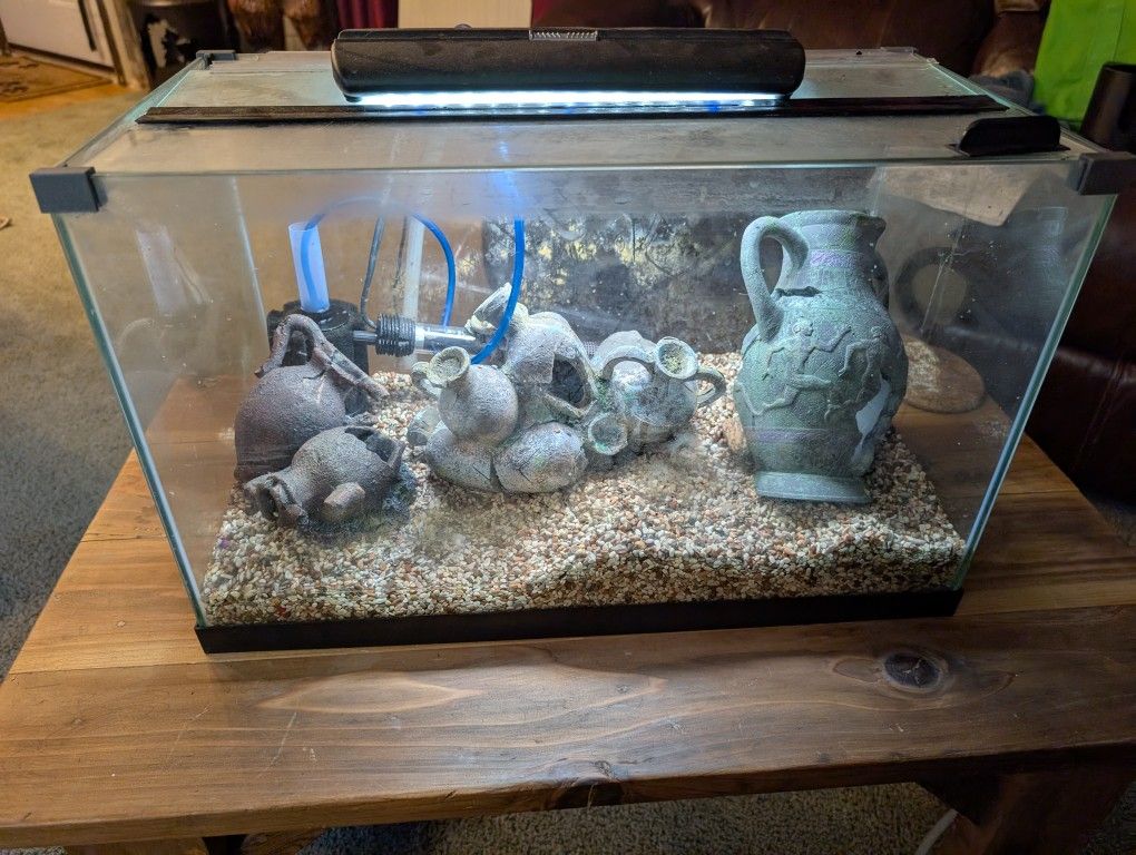 10 Gallon Aquarium 