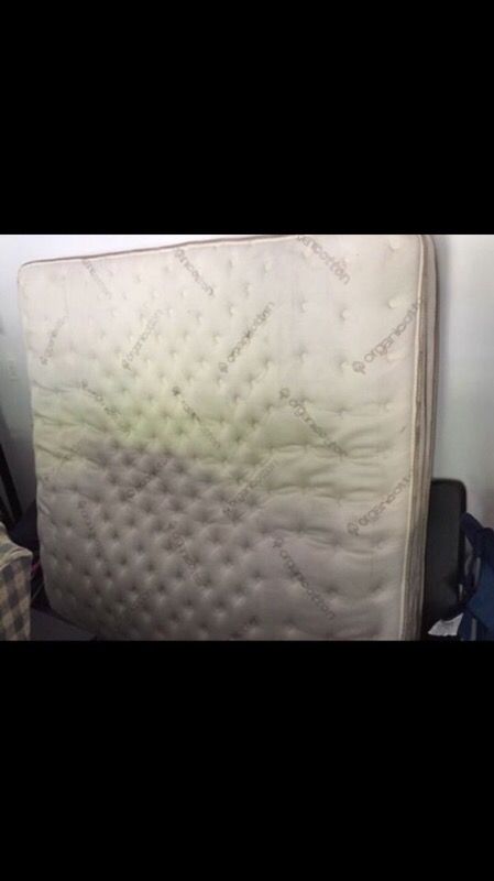 Saatva king mattress!!! 👍