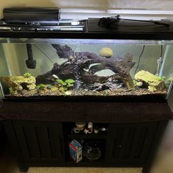 70 Gallon Aquarium Tank with Stand
