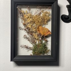 Preserved Framed Floral Arrangement 