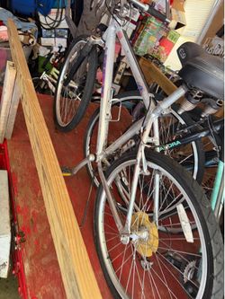6 bikes left.   First 75 and up