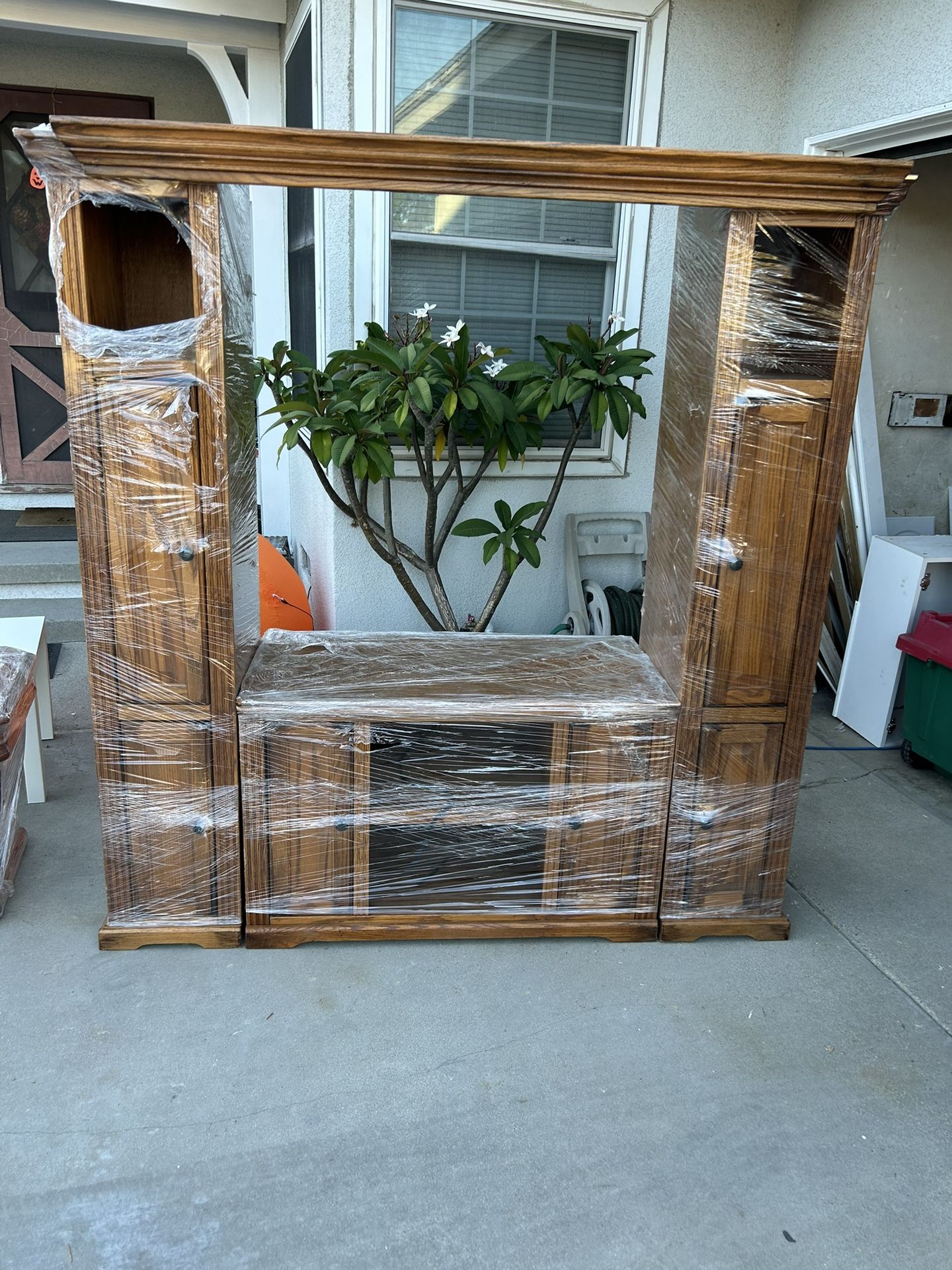 Entertainment Cabinet 