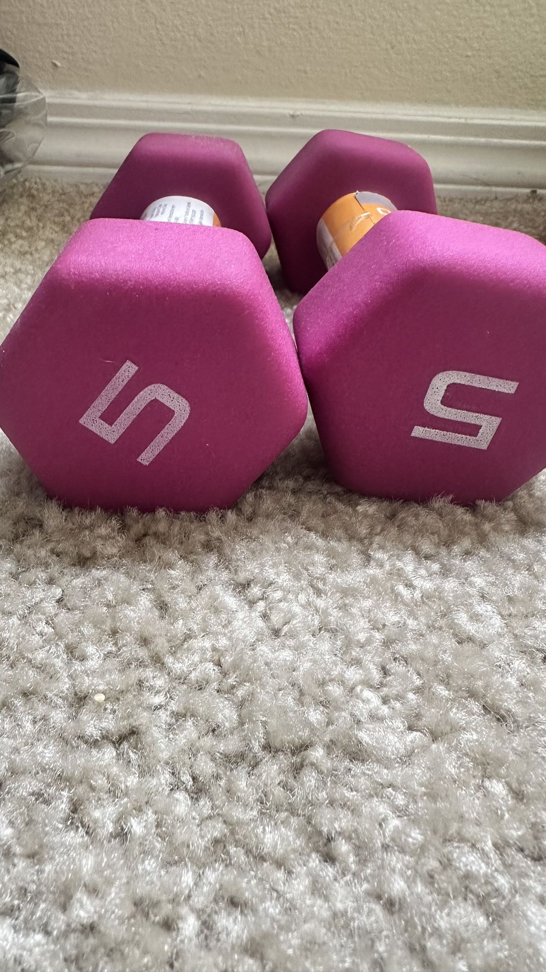 Dumbbell Set