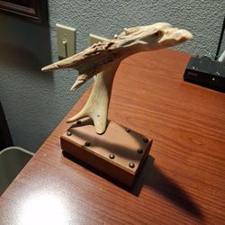 Eagle carved In an antler
