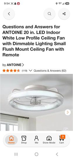 New fans