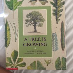 A Tree Is Growing Children ‘s Book