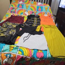 Women Dresses And Skirts Lot Of 35 Sizes Small And Medium 