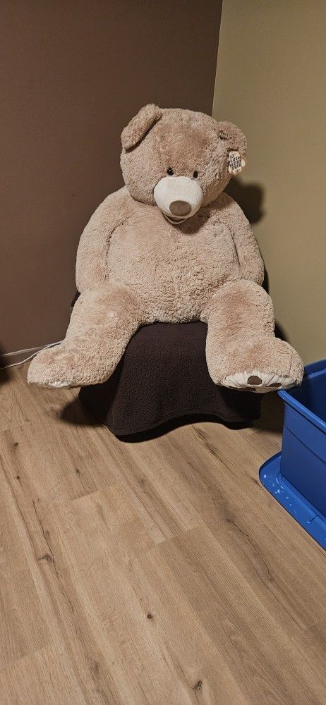 Giant Teddy Bear