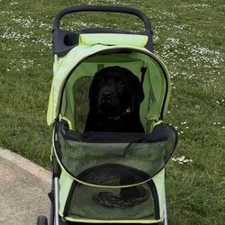Dog Stroller