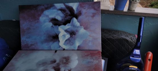 Pair canvas paintings