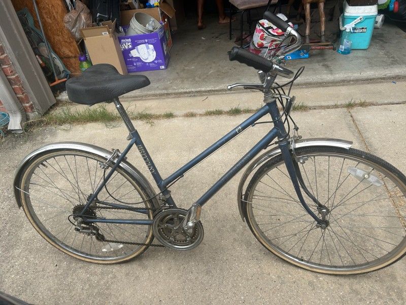 Sears Free Spirit Brittany Bike
