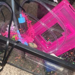 fish tank and supplies