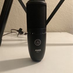 AKG P120