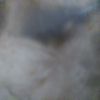 Arelis