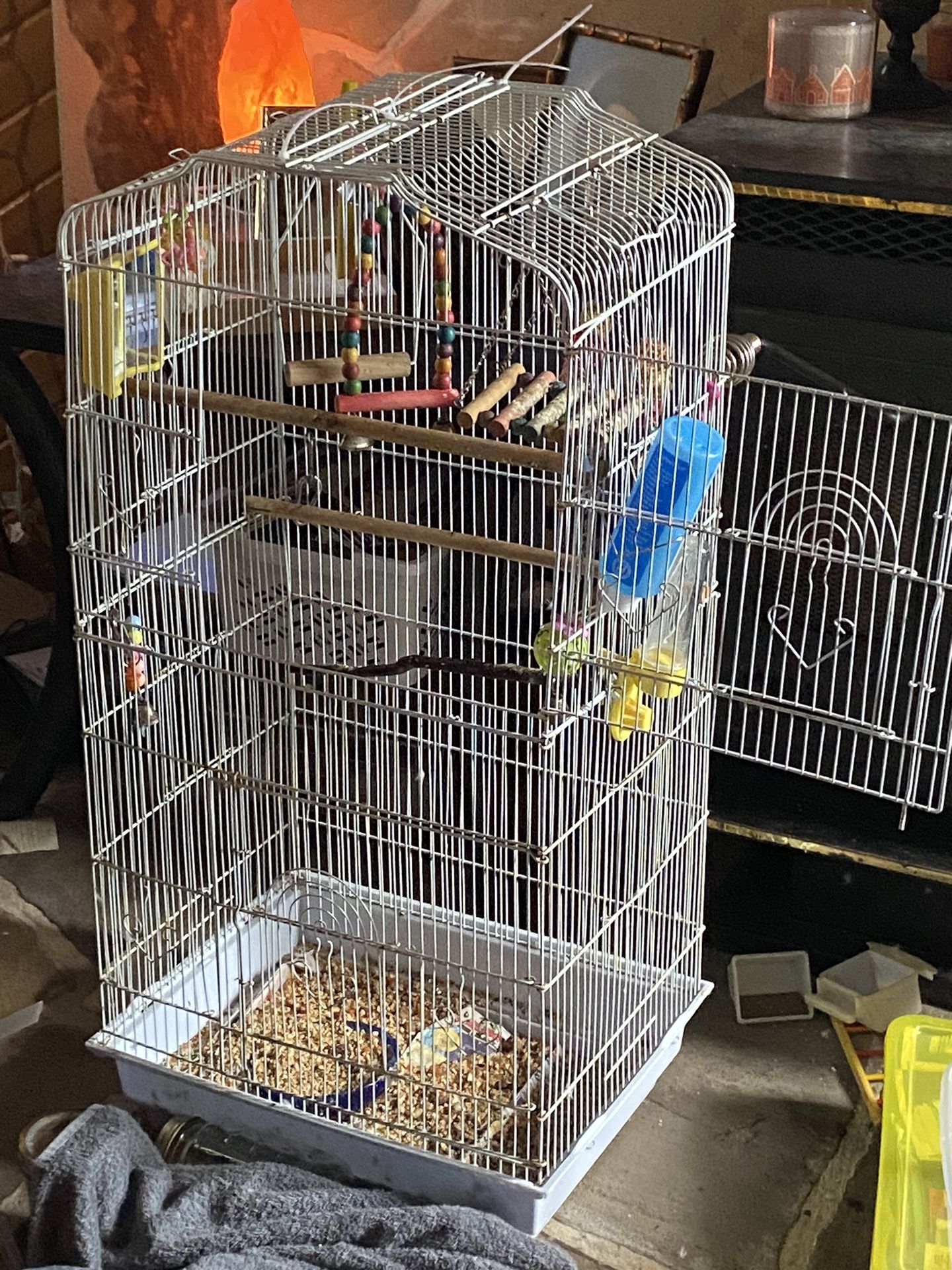 Bird Parakeet Cage
