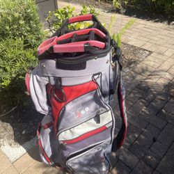 Golf cart bag Tourtek With 14 Club Dividers 