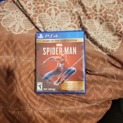 Spider Man The Video Game