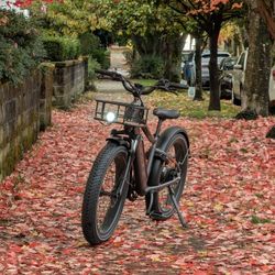 Radrover 6 Plus Electric Fat Tire Bike