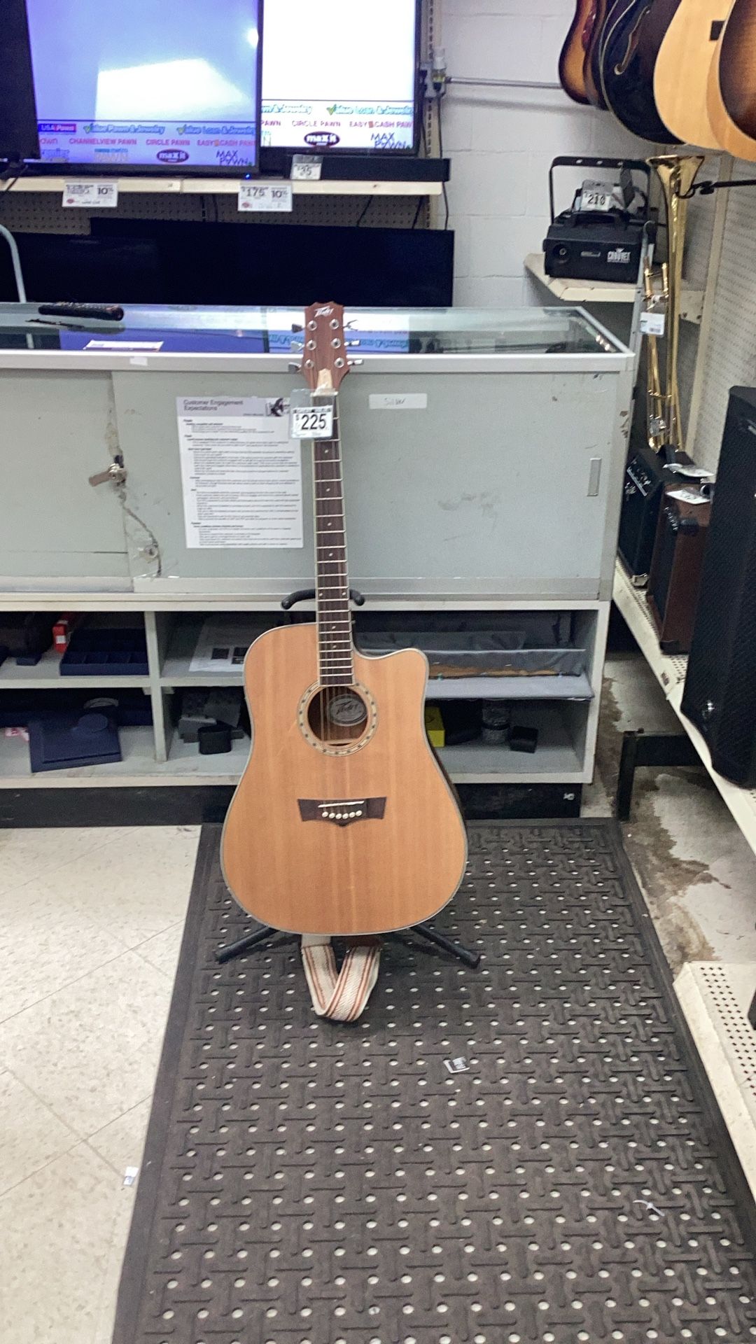Peavy Acoustic Guitar Dw2-CE