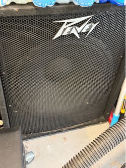 Peavey Speaker