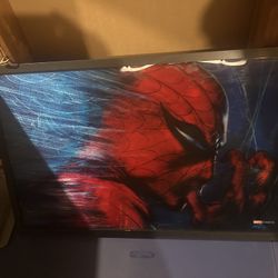 Marvel Spider-Man Lenticular Wall Decor