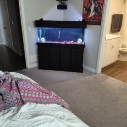 50 Gallon Fish Tank 