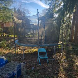 Giant Trampoline 
