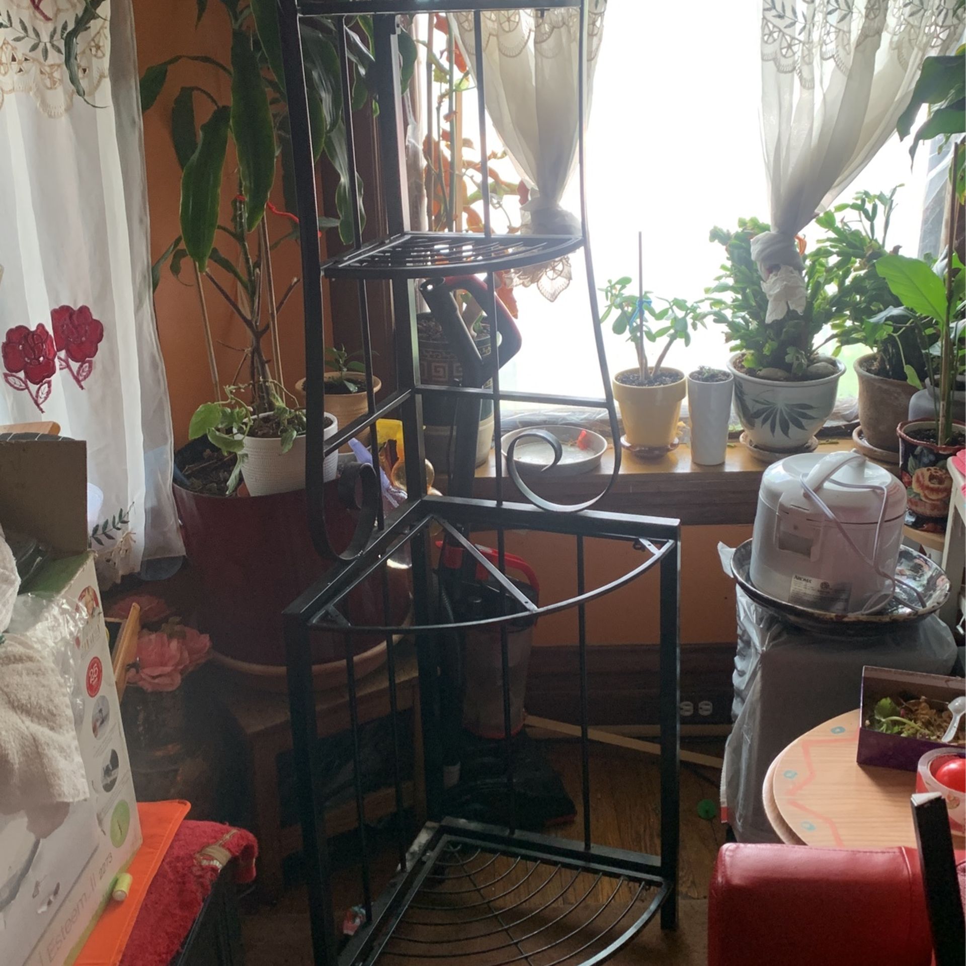 Corner Shelf 3 Tier Plant Stand