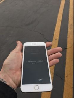 iPhone 6 Plus