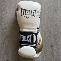 Everlast Boxing Gloves 12 Ounces Powerlock