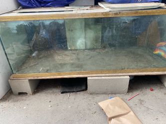 Fish tank