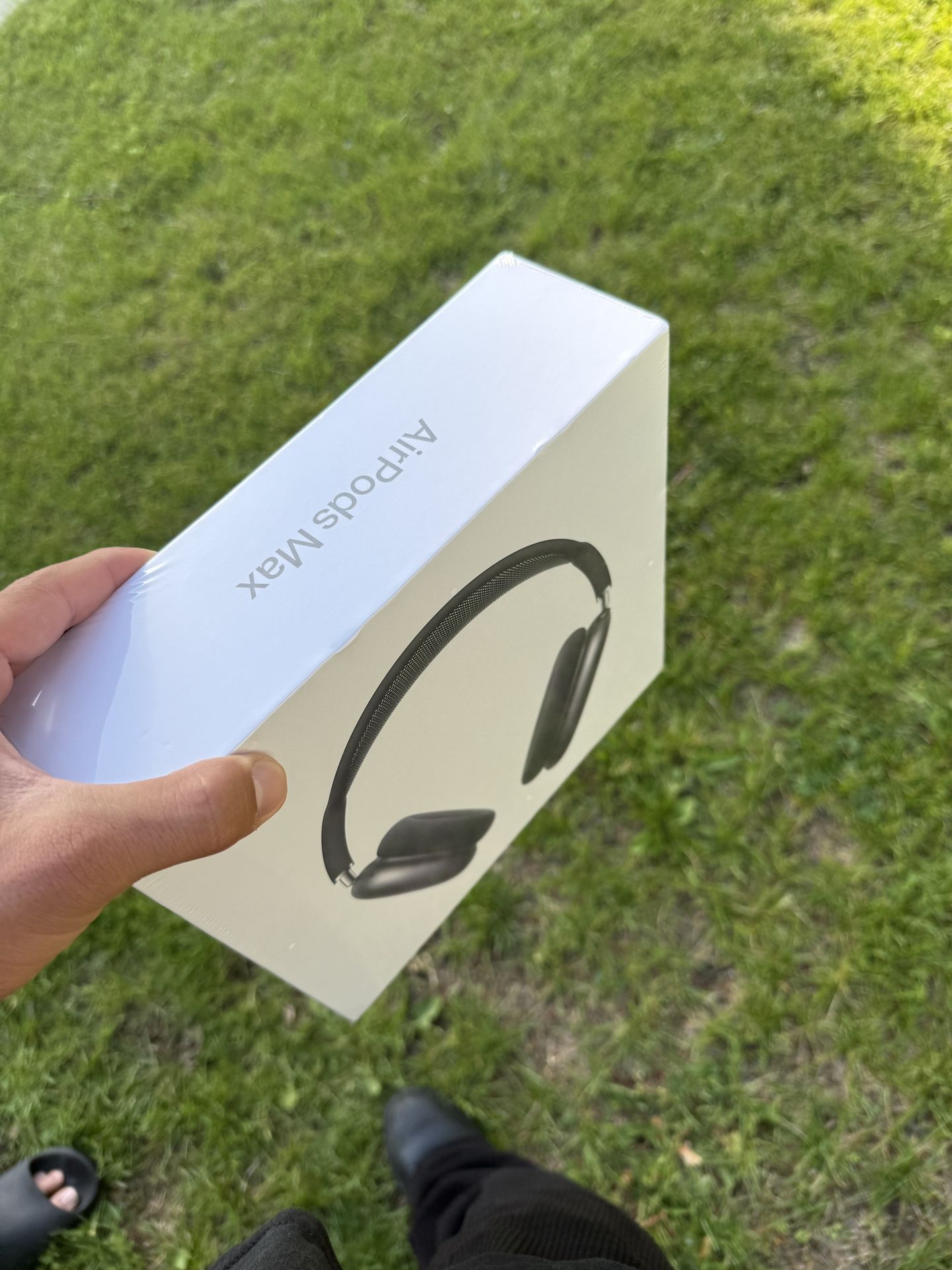 Airpods Max