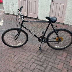 Schwinn Bike 