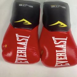 Everlast Elite Gloves Size 14 Ounces Leather Trainning Boxing Red