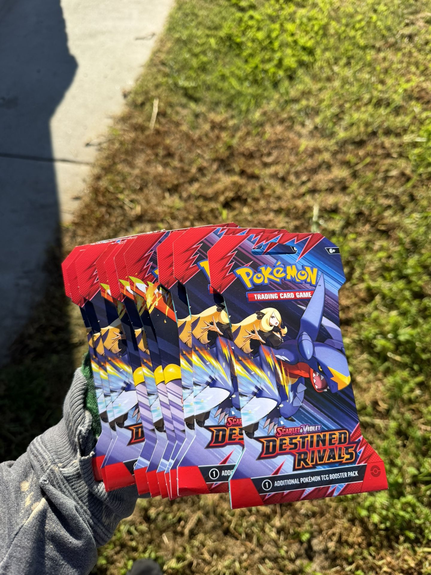 Pokemon Destined Rivals