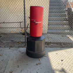 Wave Master Punching Bag 