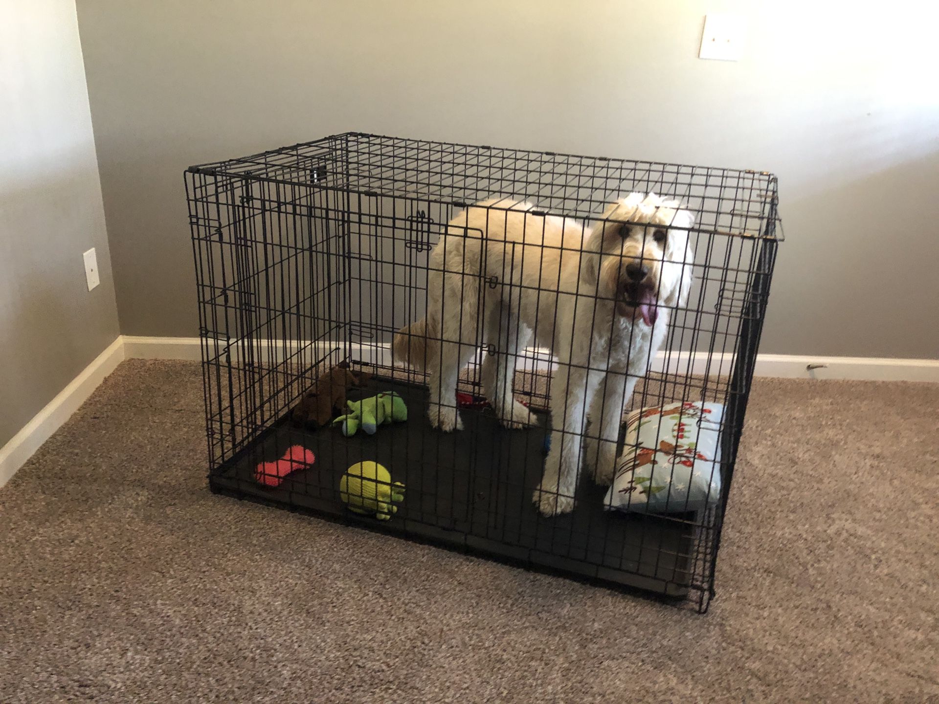 Extra large dog crate