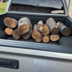 Firewood Afrocarpus