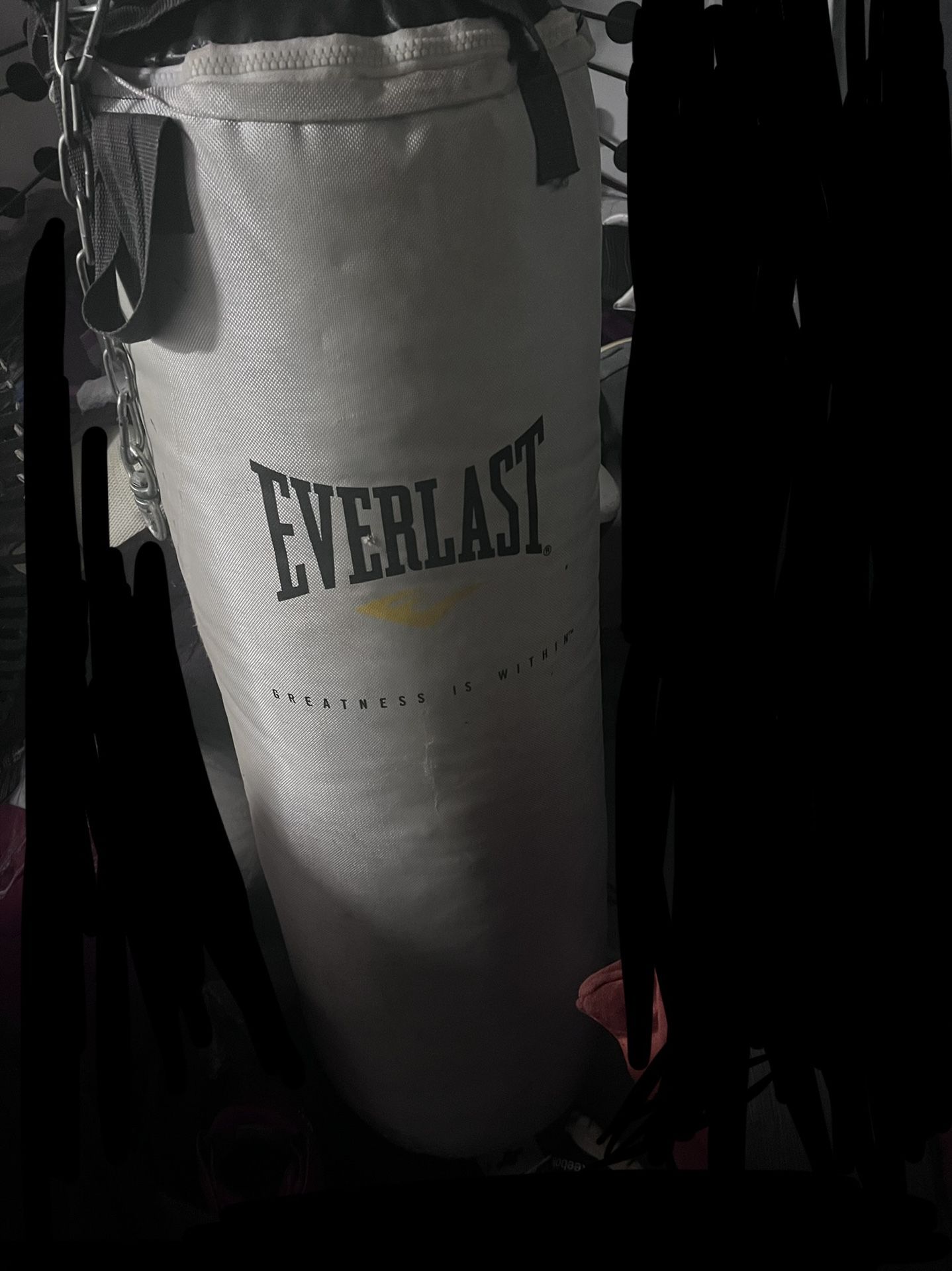 100 Pound Punching Bag