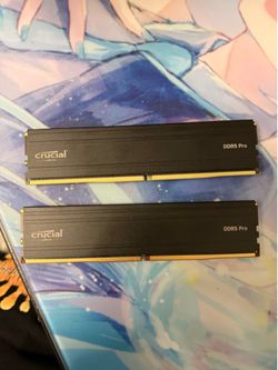 Crucial Pro DDR5 96gb 5600 Ram