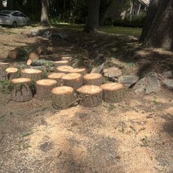 Free Woods
