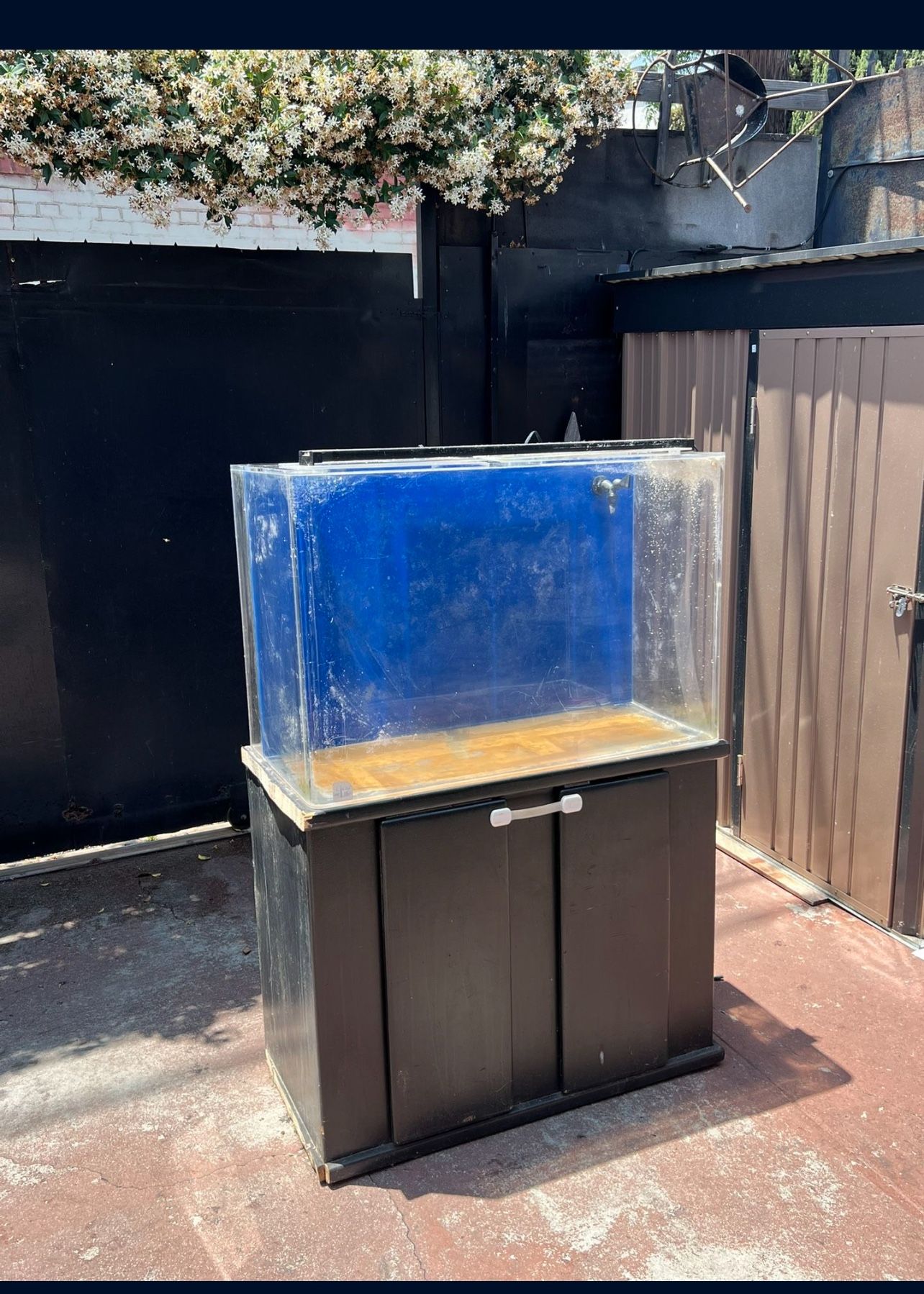 Fish Tank 