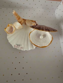 Handmade sea shell craft!