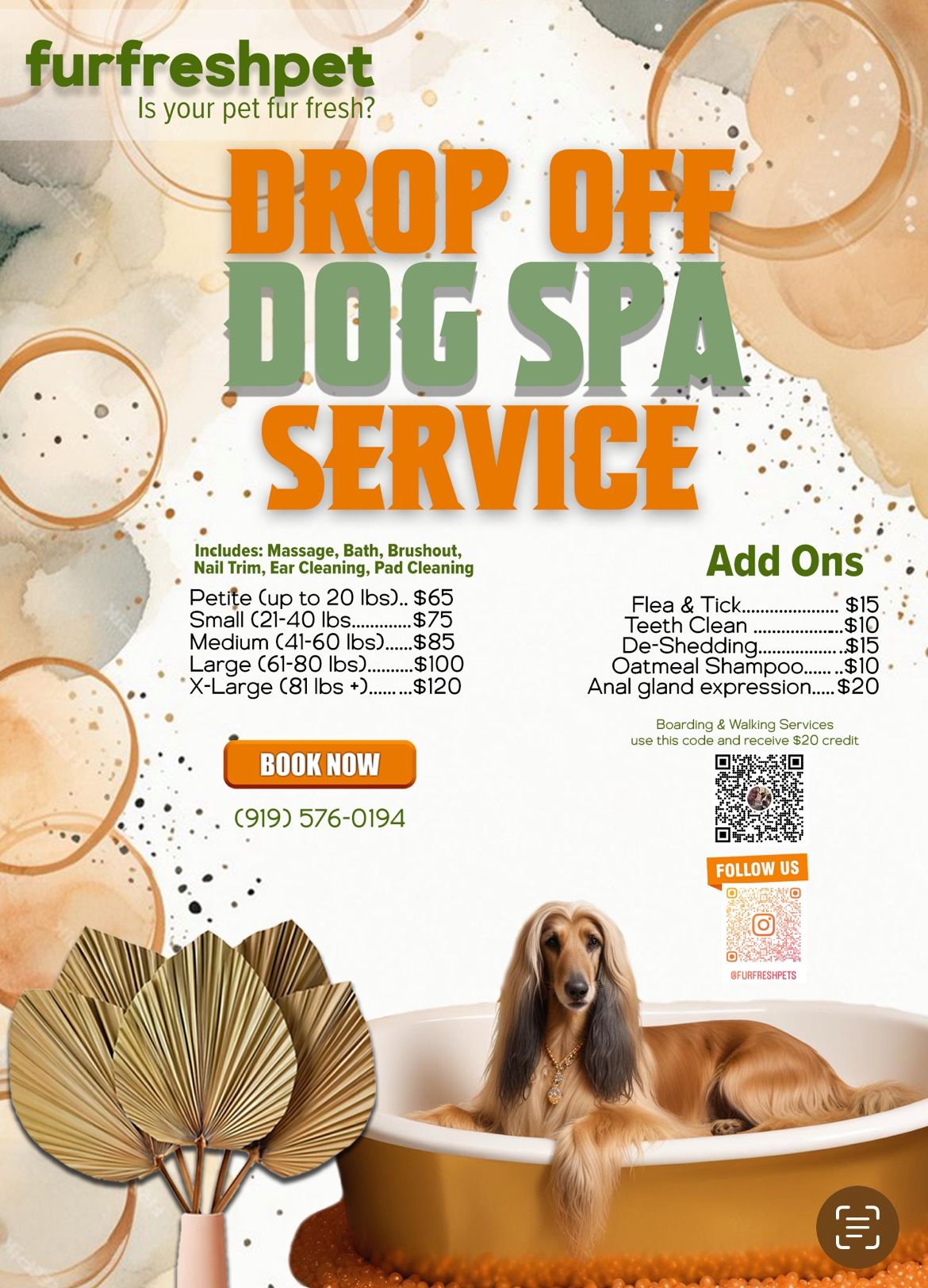 Dog Spa