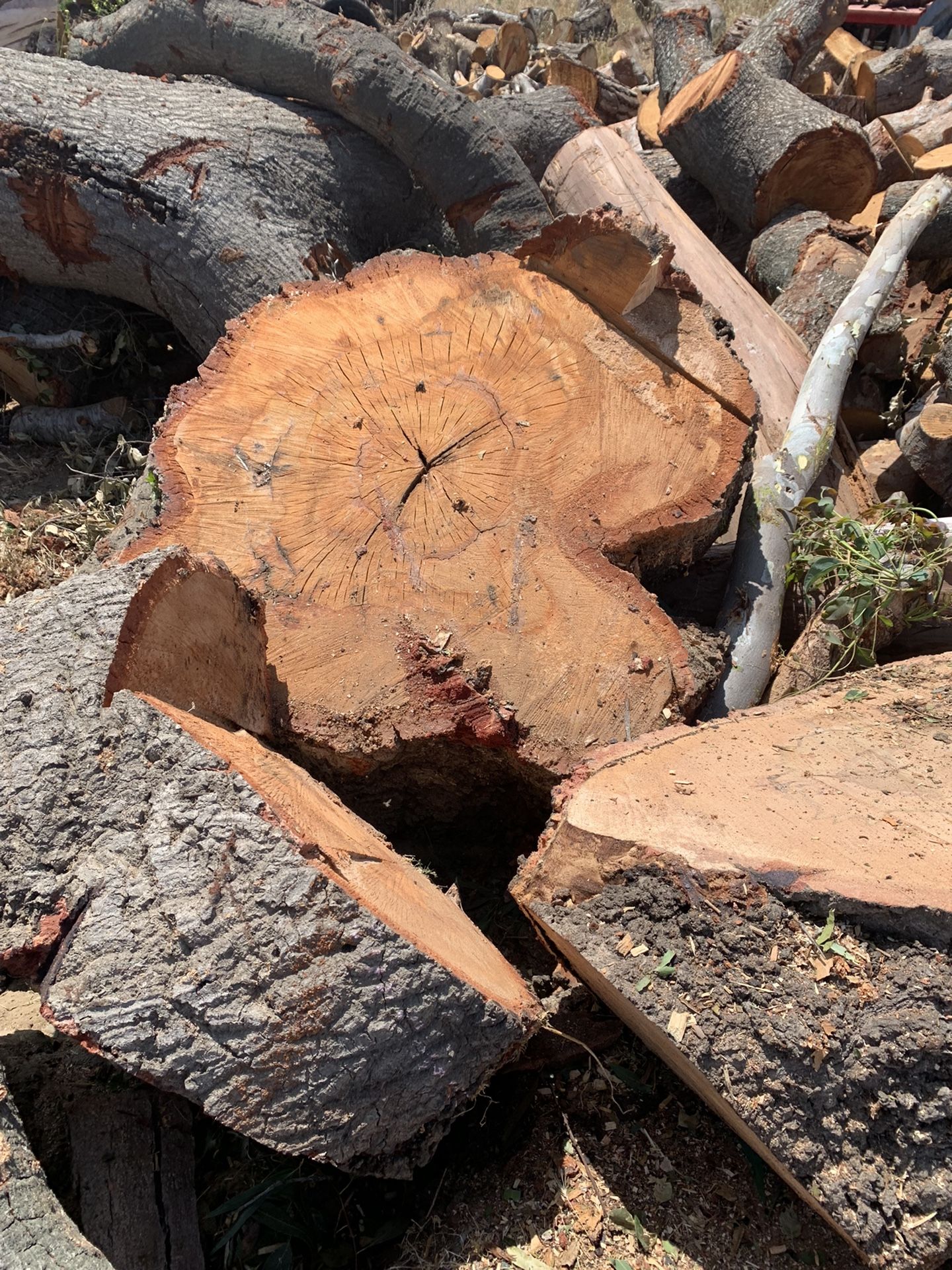 Red Oak & Eucalyptus Fire Wood
