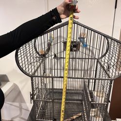 Bird Cage